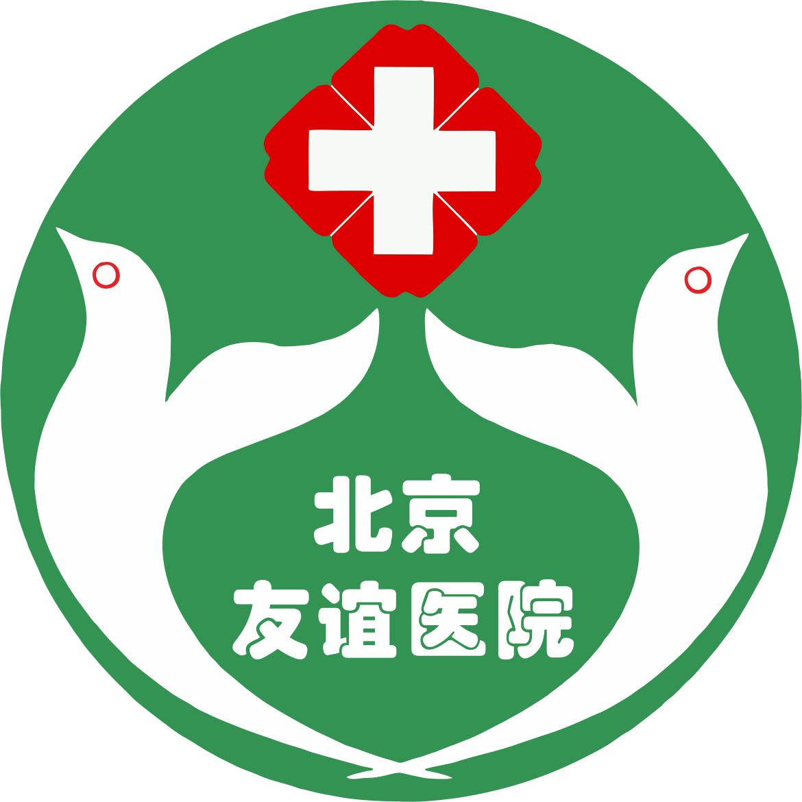 首都醫(yī)科(kē)大學(xué)附屬北京友誼醫(yī)院