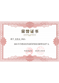 2021年合肥市經濟高質(zhì)量發展貢獻獎先進個人