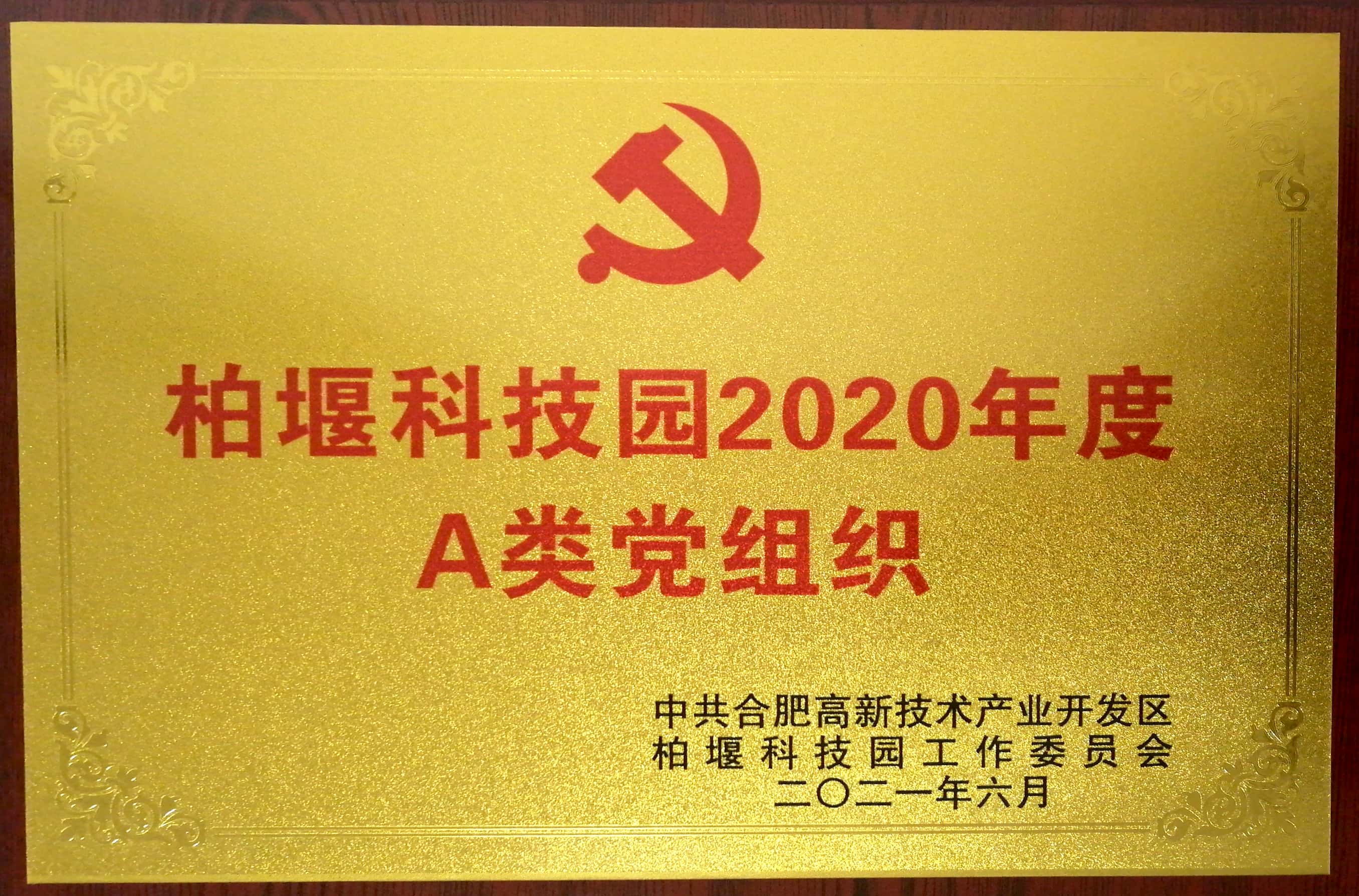 柏堰科(kē)技(jì )園A類黨組織,深藍醫(yī)療