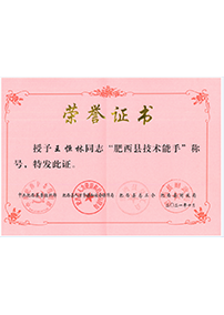 肥西縣技(jì )術能(néng)手